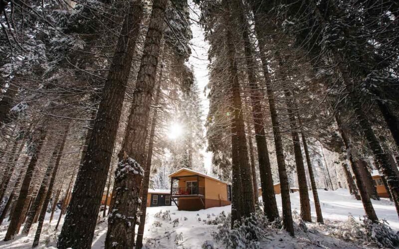 A Chic Mountain Retreat: The New Explorer Cabins at Yosemiteâs Tenaya Lodge