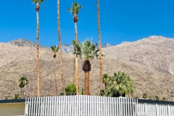 Azure Sky is Palm Springs Newest and Coolest Oasis