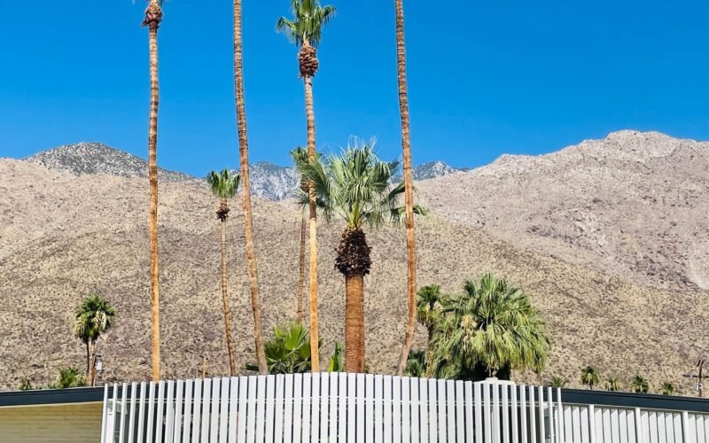 Azure Sky is Palm Springs Newest and Coolest Oasis