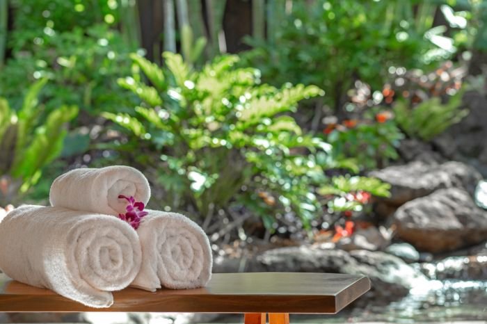2024 Wellness Experiences with Four Seasons Hotel & Resorts