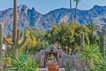 Sunny Hacienda del Sol in Tucson, AZ