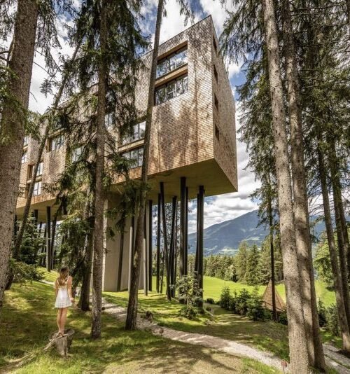 Slumber in the Treetops Near the Dolomites at My Arbor