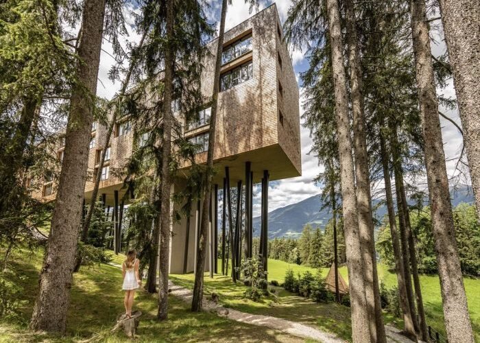 Slumber in the Treetops Near the Dolomites at My Arbor