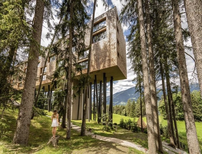 Slumber in the Treetops Near the Dolomites at My Arbor